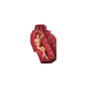 Drap de lit en vinyle rouge 200 x 230 cm 